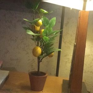 Lemon tree